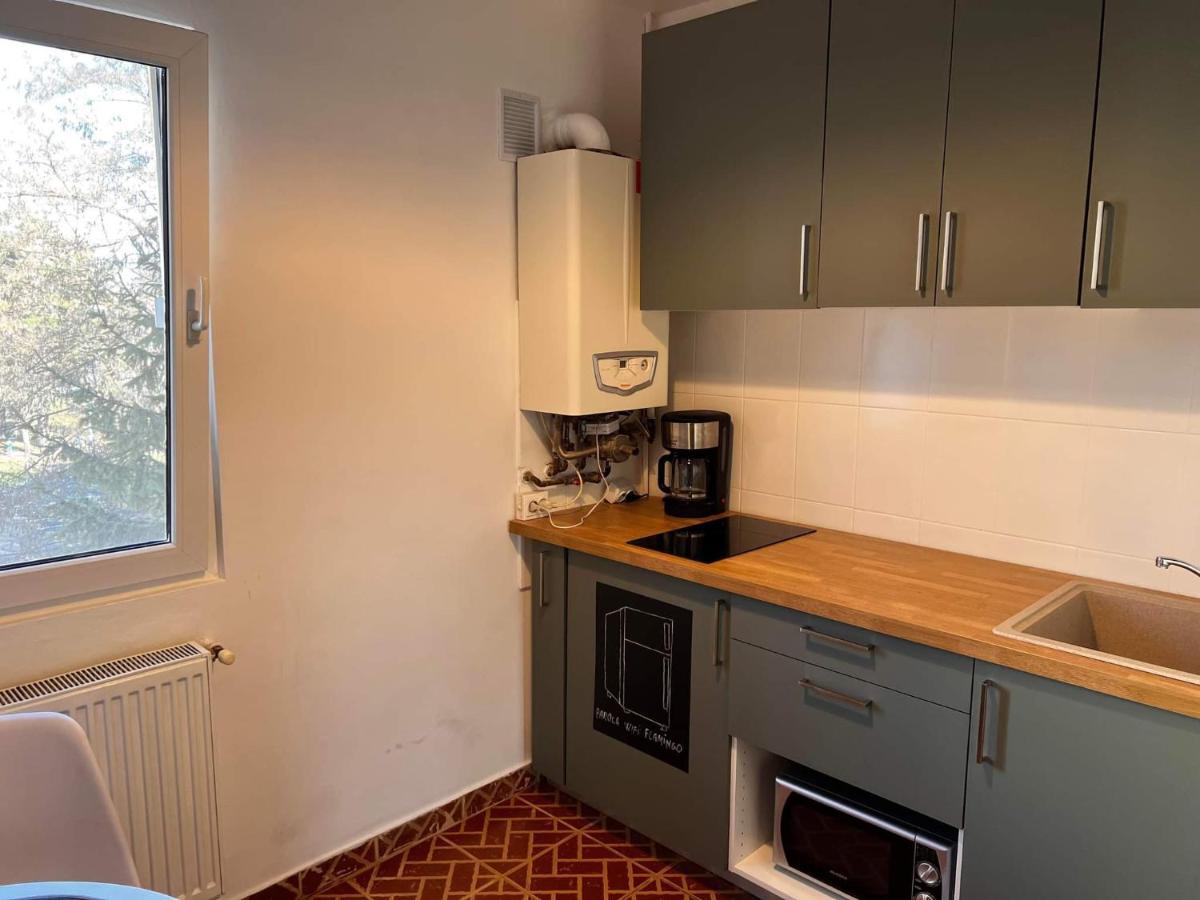 Appartement Garsoniera Flamingo Garii 4 à Braşov Extérieur photo
